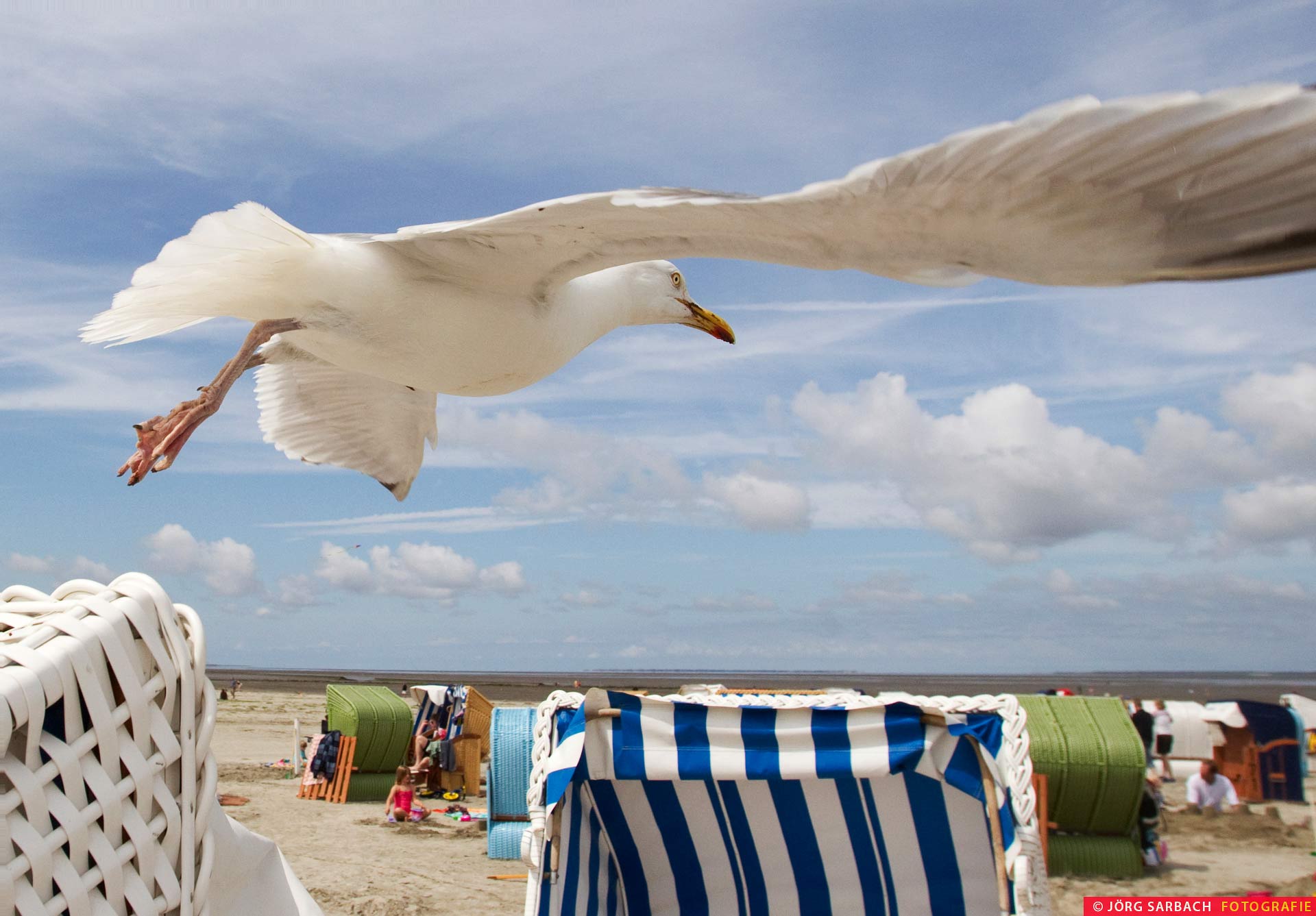 Nordsee, Möwe, Strand, Küste
