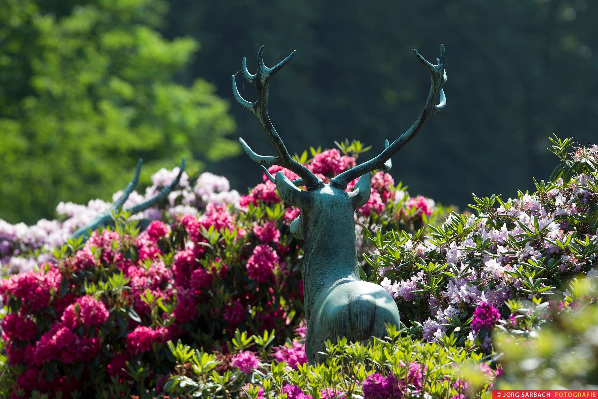 Bürgerpark, Bremen, Hirsch, Bronzeplastik