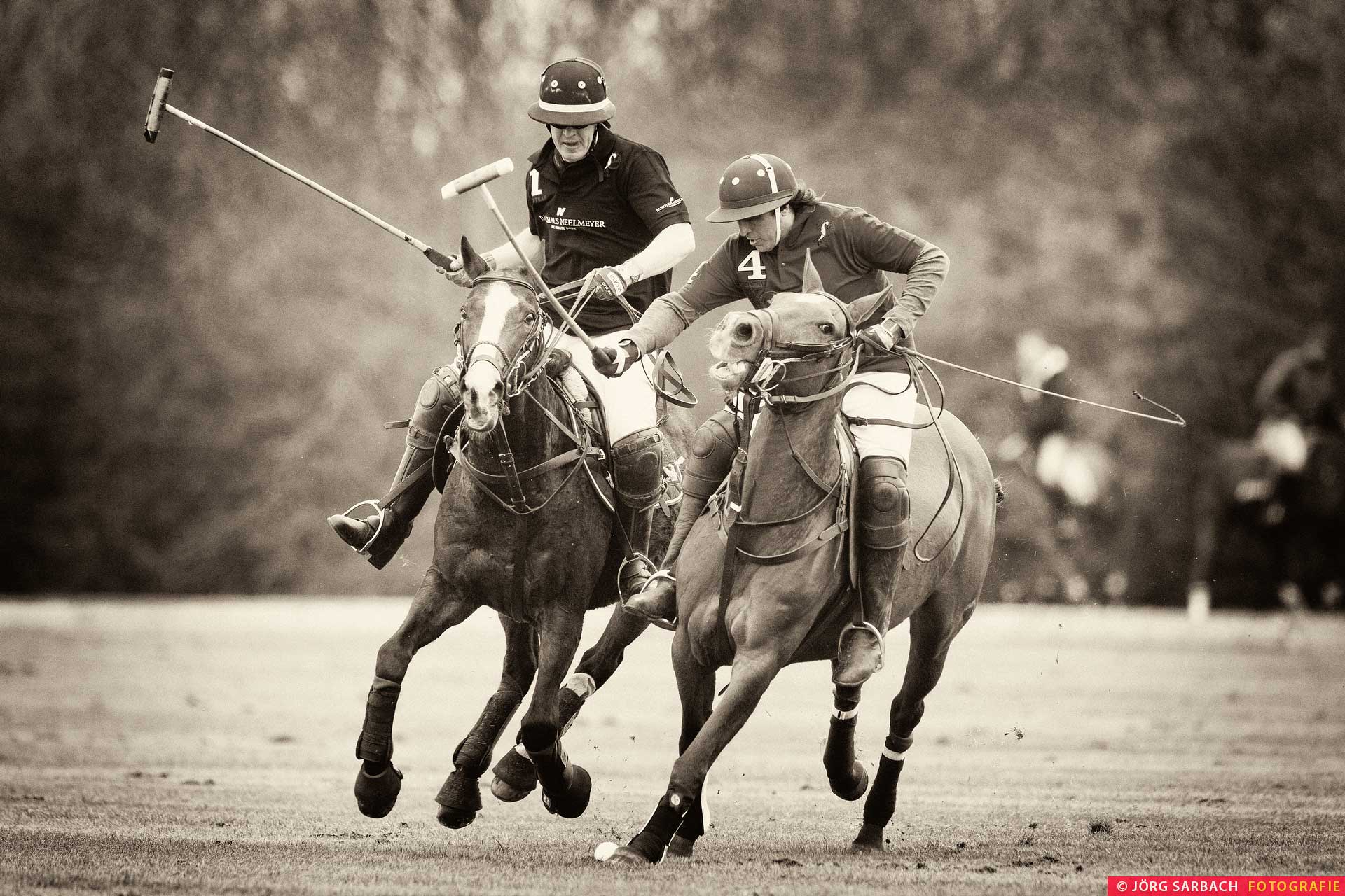 Sport, Pferde, Polo